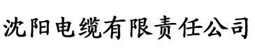 大香蕉av免费在线电缆厂logo